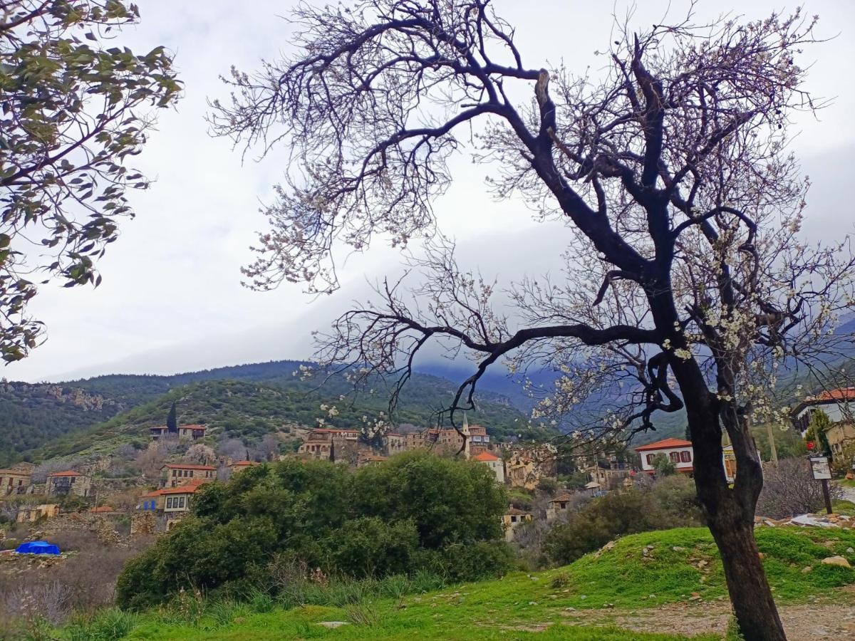 Puli Stone Houses Doğanbey Εξωτερικό φωτογραφία
